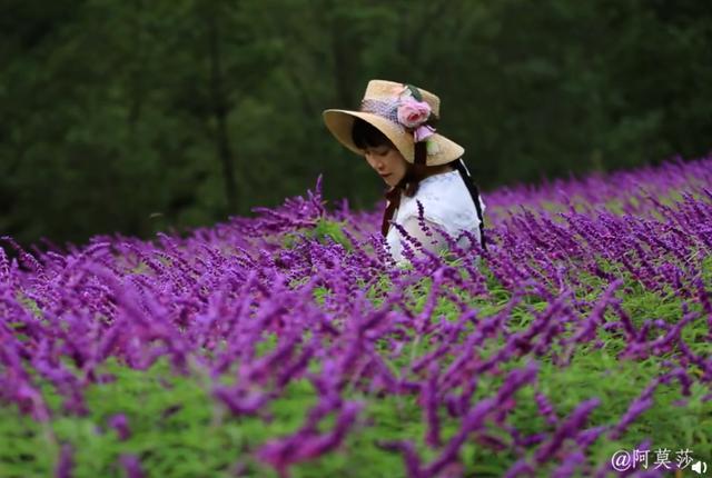 Cải tạo ngôi nhà cổ, cô gái biến đất hoang thành khu vườn ngập sắc hoa tựa cổ tích - Ảnh 15.