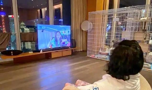 Biệt thự của vợ chồng Angela Baby: Sang chảnh hơn cung điện, bắt trọn cả view đ&aacute;ng gi&aacute; nhất Thượng Hải - Ảnh 1.