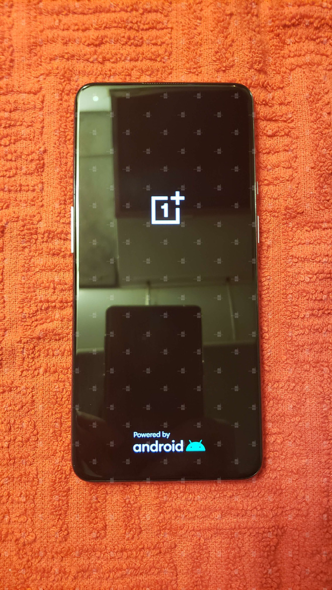 OnePlus 9 lộ ảnh thực tế: Cụm camera thiết kế mới, màn hình nốt ruồi 120Hz, chạy chip Snapdragon 888, ra mắt đầu năm sau - Ảnh 3.