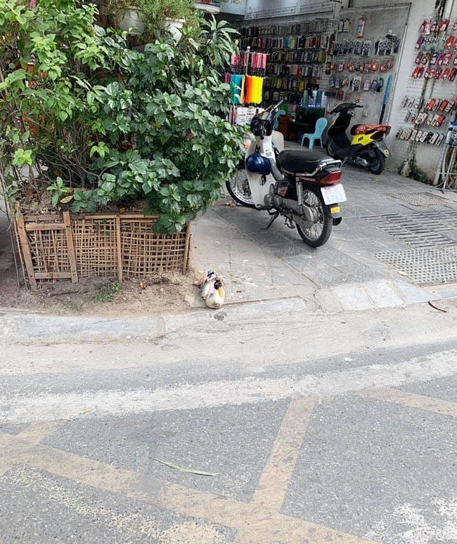 Chú vịt sành điệu được mặc quần áo mỗi ngày 1 bộ, nhuộm lông đầu, đeo vòng cổ khiến ai cũng phải nhìn ở ngã tư Bạch Mai - Phố Huế - Ảnh 4.