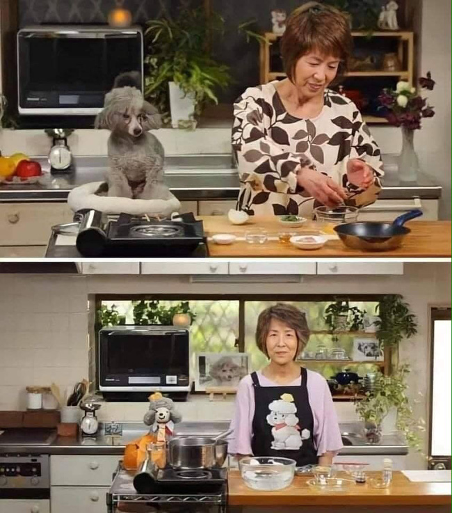 Đầu bếp nổi tiếng tại Nhật Bản với kênh YouTube 1,5 triệu người theo dõi nấu ăn bên cạnh thú bông, nguyên nhân khiến ai cũng phải rơi nước mắt - Ảnh 3.