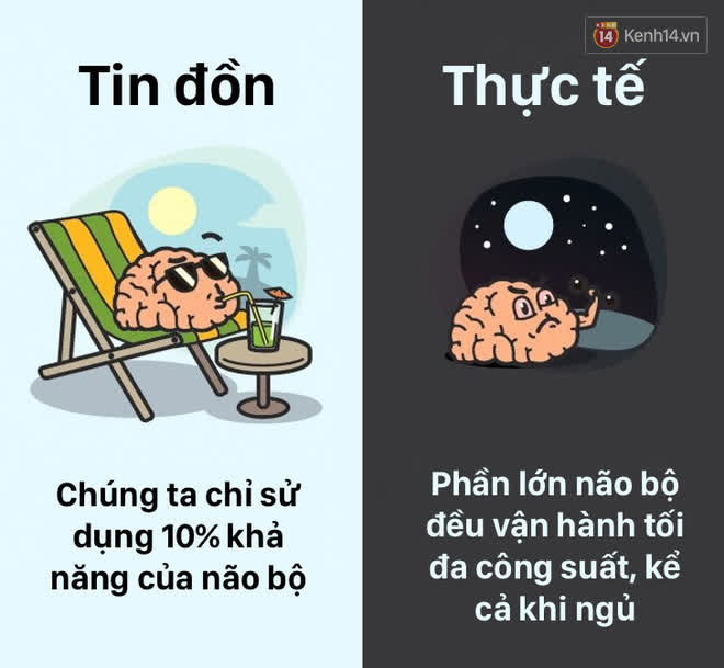 12 lầm tưởng về cơ thể chúng ta mà rất nhiều người hiểu sai, nay đã được khoa học bóc trần - Ảnh 1.