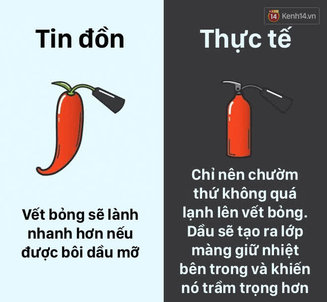 12 lầm tưởng về cơ thể chúng ta mà rất nhiều người hiểu sai, nay đã được khoa học bóc trần - Ảnh 11.