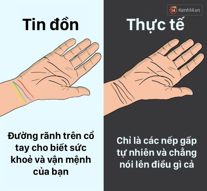 12 lầm tưởng về cơ thể chúng ta mà rất nhiều người hiểu sai, nay đã được khoa học bóc trần - Ảnh 12.