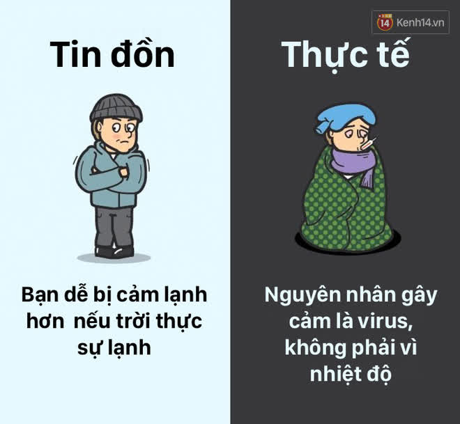 12 lầm tưởng về cơ thể chúng ta mà rất nhiều người hiểu sai, nay đã được khoa học bóc trần - Ảnh 6.