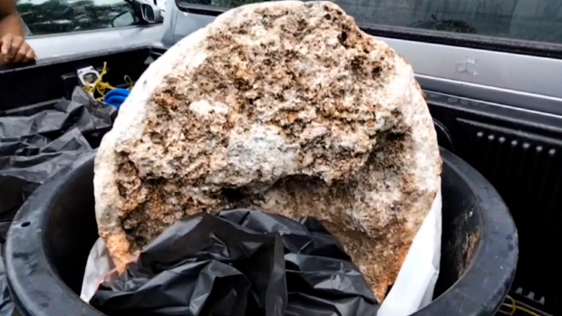 Dạo bờ biển, lão ngư dân nghèo bắt gặp khối đá được cho là báu vật biển lớn nhất thế giới từng được tìm thấy, chuẩn bị đổi đời thành triệu phú - Ảnh 3.