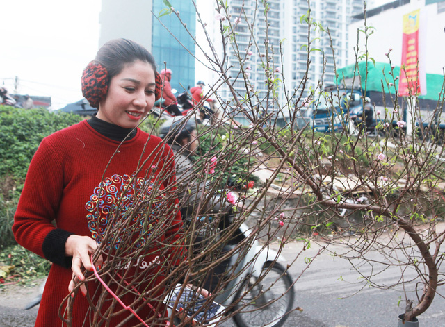 Đào Nhật Tân nở sớm bất ngờ xuống phố giữa ngày Hà Nội lạnh giá - Ảnh 6.