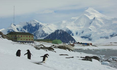 Antarctica appeared Covid-19 infection: The last stronghold in the world that has not been attacked by a pandemic has collapsed - Photo 2.