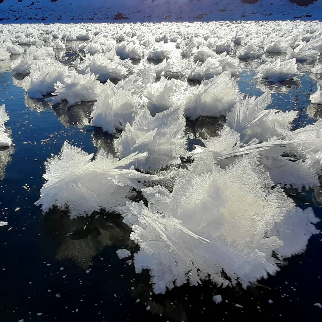 Океан покрытый льдом. Северный Ледовитый океан подо льдом. Озеро Байкал ледостав. Цветы в Северном Ледовитом океане. Ледяные цветы.