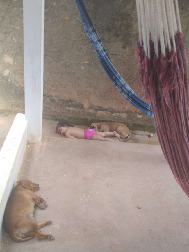 Con gái đang chơi với bầy chó bỗng im bặt, bố mẹ lo lắng đi kiểm tra thì thấy đứa trẻ nằm sấp dưới đất, tiến lại gần liền bật cười - Ảnh 3.