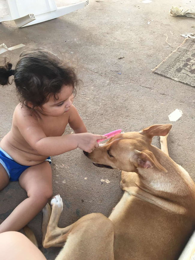 Con g&aacute;i đang chơi với bầy ch&oacute; bỗng im bặt, bố mẹ lo lắng đi kiểm tra th&igrave; thấy đứa trẻ nằm sấp dưới đất, tiến lại gần liền bật cười - Ảnh 2.