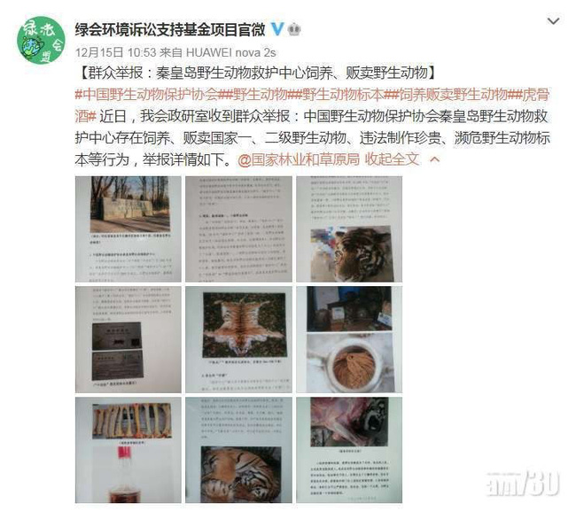 Núp bóng bảo trợ để kinh doanh động vật quý hiếm, một trung tâm ở Trung Quốc bán lông hổ giá... 2,5 tỷ đồng - Ảnh 1.