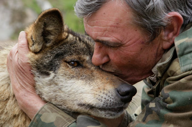 Câu chuyện có thật về cậu bé rừng xanh được bầy sói nuôi dưỡng trong 12 năm và cuộc sống sau khi tái hòa nhập cộng đồng con người - Ảnh 3.