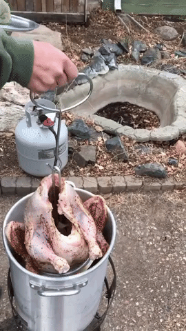 Thì ra đây là cách người Mỹ chiên gà tây nguyên con tại nhà, thành quả nhìn thèm ứa nước miếng - Ảnh 1. Thì ra đây là cách người Mỹ chiên gà tây nguyên con tại nhà, thành quả nhìn thèm ứa nước miếng - Ảnh 1.
