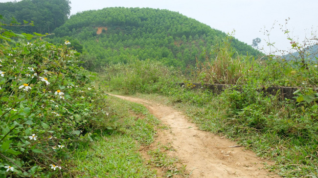 Vụ người đàn ông bị cắt “của quý” trên đồi cao su: Tạm giữ hình sự 2 vợ chồng cùng thôn - Ảnh 1.