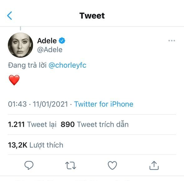 Adele vượt 180 kiếp nạn từ quản lý để đăng nhập vào Twitter với mục đích duy nhất: like video trai đẹp cởi trần cực mlem hát hit của mình! - Ảnh 1.