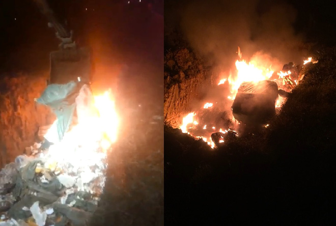 Kiểm tra xe tải đang bốc h&agrave;ng, ph&aacute;t hiện 3,5 tấn thịt v&agrave; nội tạng lợn h&ocirc;i thối chuẩn bị b&aacute;n dịp Tết - Ảnh 3.