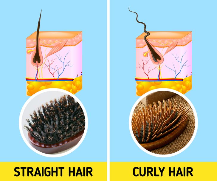 5 sai lầm khi chải tóc có thể làm hỏng mái tóc của bạn, sửa ngay nếu muốn tóc bóng mượt hơn - Ảnh 2.