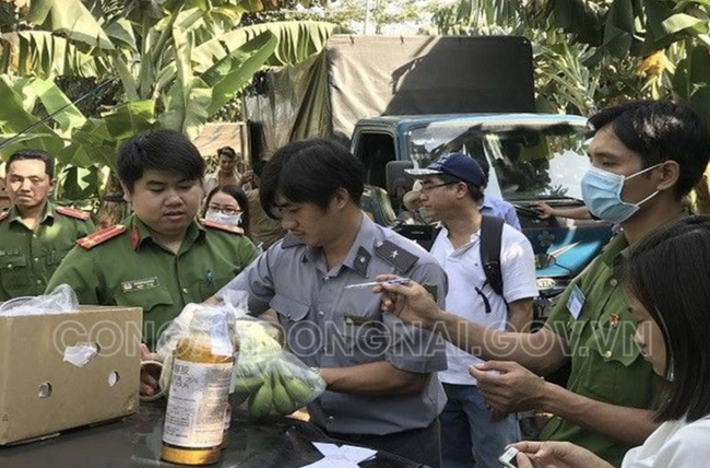 Phát hiện hơn 20 ngàn kg chuối ngâm nước, phun thuốc bảo quản không rõ nguồn gốc trước khi đưa đi tiêu thụ dịp Tết - Ảnh 2.