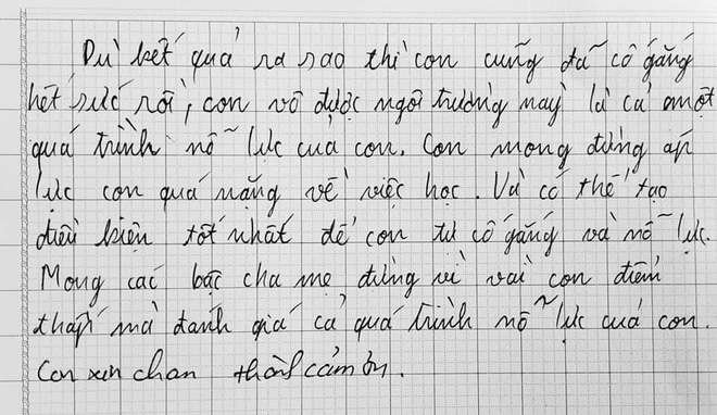 Những bức thư nghẹn ngào trước ngày họp phụ huynh: Cha mẹ đâu phải lúc nào cũng đúng, làm ơn đừng áp đặt nữa! - Ảnh 8.