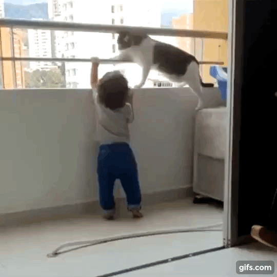 Bé gái mon men trèo lên lan can ban công, lập tức có thiên thần hộ mệnh đứng ra ngăn cản khiến hàng ngàn dân mạng tan chảy - Ảnh 1.