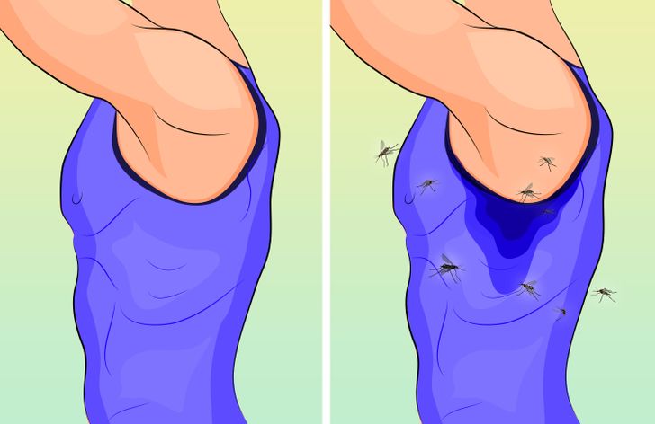 H&oacute;a ra đ&acirc;y l&agrave; l&yacute; do tại sao muỗi lu&ocirc;n vo ve ở b&ecirc;n tai ch&uacute;ng ta v&agrave; c&aacute;ch cực đơn giản để giải quyết sự kh&oacute; chịu n&agrave;y - Ảnh 3.