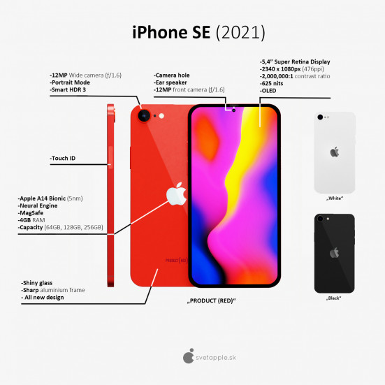 Phiên bản thu nhỏ của iPhone 12: iPhone SE Plus lộ thông số kỹ thuật và giá bán, dự kiến ra mắt tháng 3/2021 - Ảnh 2.