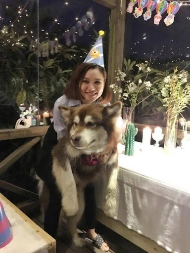 Hotgirl chuyên chăm thú cưng cho Vương Tư Thông: Người tình tin đồn của thiếu gia tỷ đô, tạo drama không kém ai lại còn thích khoe hình ảnh dao kéo - Ảnh 1. Hotgirl chuyên chăm thú cưng cho Vương Tư Thông: Người tình tin đồn của thiếu gia tỷ đô, tạo drama không kém ai lại còn thích khoe hình ảnh dao kéo - Ảnh 1.