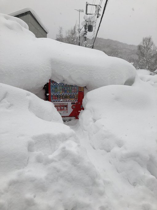 Bức ảnh bốt điện thoại công cộng giữa trời tuyết trắng gây xôn xao cộng đồng mạng Nhật Bản - Ảnh 5.