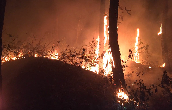 Đêm lạnh giá, cả trăm người lên dập đám cháy lớn bốc ngùn ngụt, cứu rừng thông - Ảnh 2.