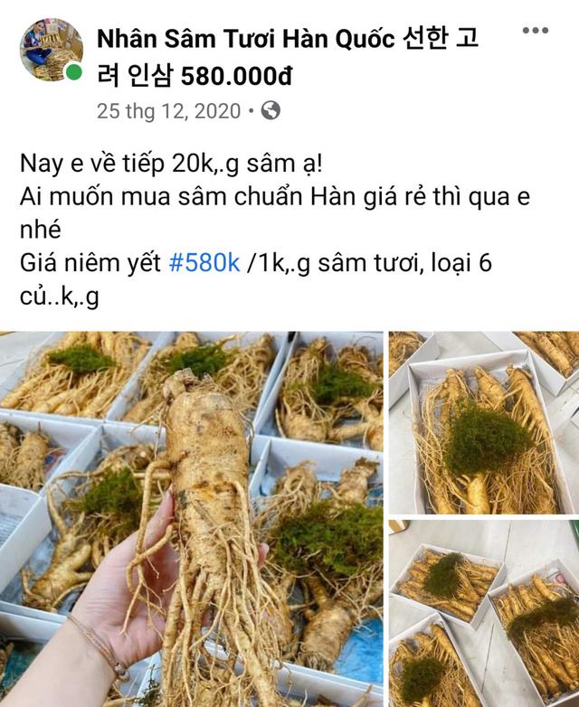 Ngã ngửa với sâm tươi Hàn Quốc giá 500.000 đồng/kg - Ảnh 3.