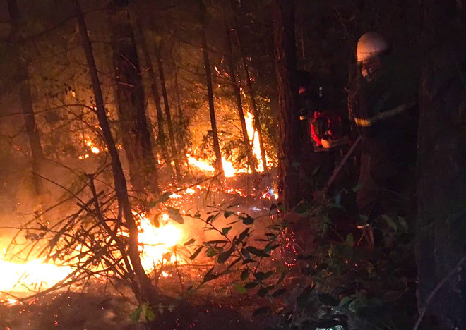 Đêm lạnh giá, cả trăm người lên dập đám cháy lớn bốc ngùn ngụt, cứu rừng thông - Ảnh 5.