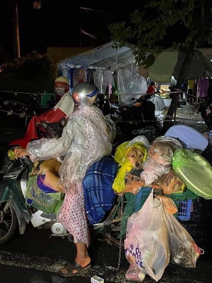 15 con chó như những thành viên gia đình, người chủ sẽ ám ảnh cả cuộc đời còn lại - Ảnh 7.