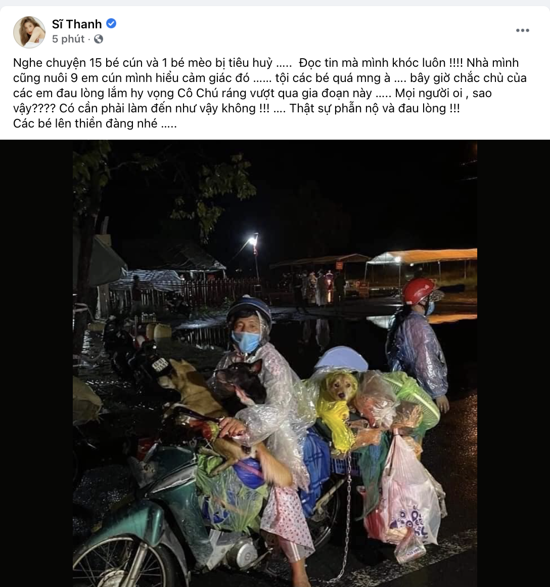 Sao Việt lên tiếng trước thông tin 15 chú chó bị thiêu huỷ: Văn Mai Hương - Sĩ Thanh quá đau lòng, Hồng Ánh bật khóc không dám tin - Ảnh 5. Sao Việt lên tiếng trước thông tin 15 chú chó bị thiêu huỷ: Văn Mai Hương - Sĩ Thanh quá đau lòng, Hồng Ánh bật khóc không dám tin - Ảnh 5.