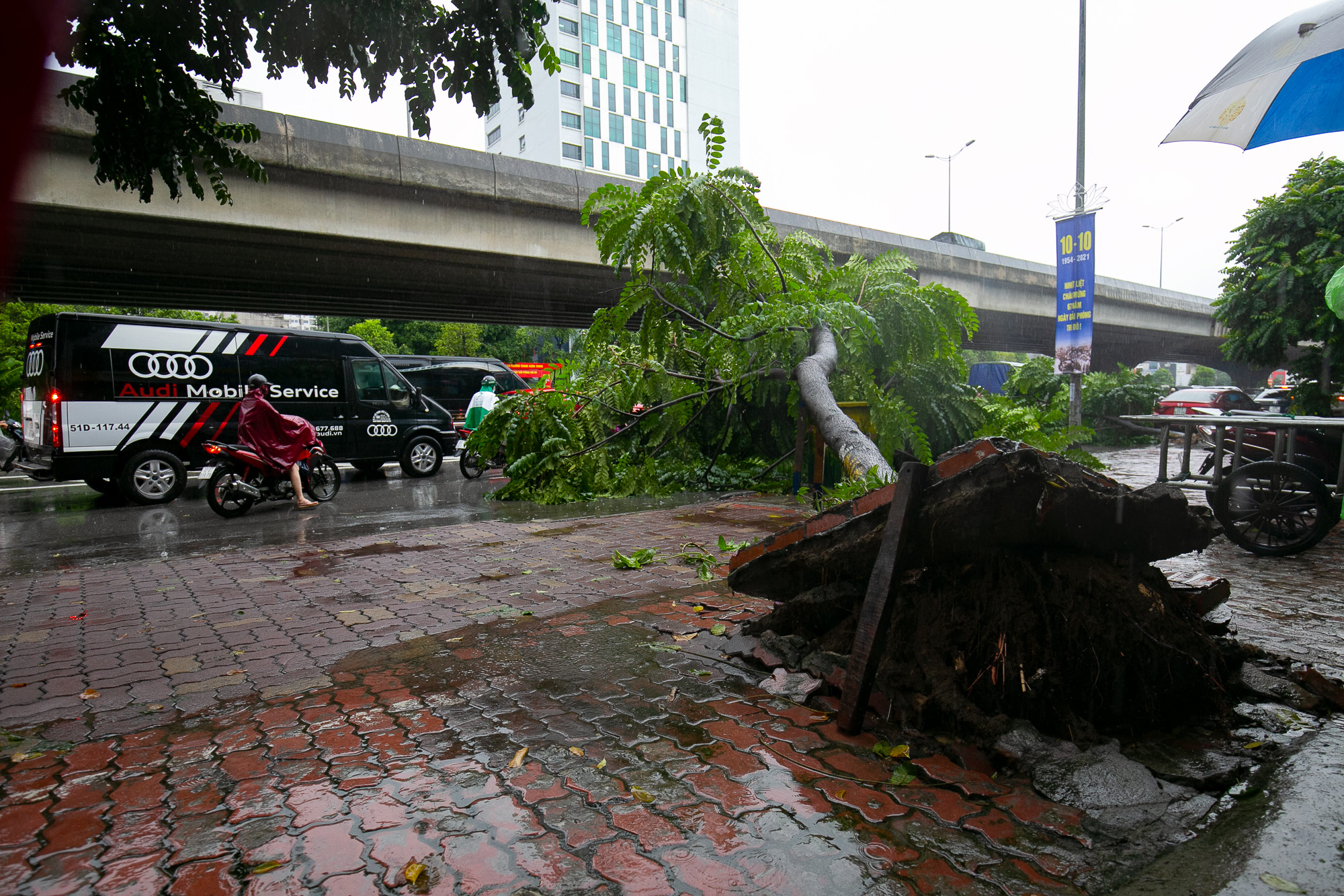 Hà Nội: Bão số 7 gây mưa lớn cả ngày, nhiều cây xanh bật gốc, đè bẹp xế hộp Camry - Ảnh 10.