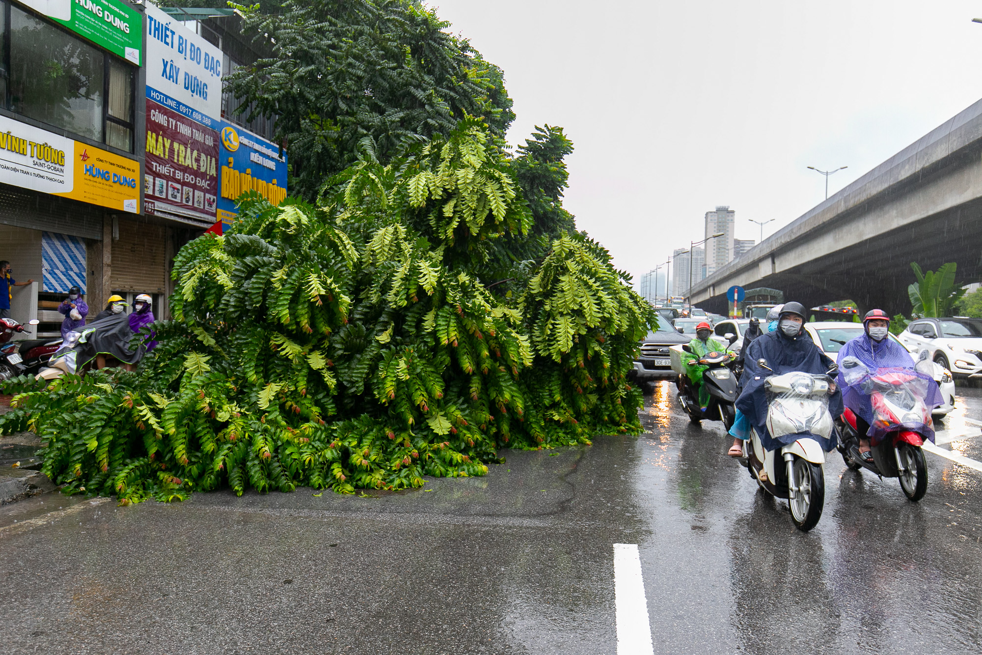 Hà Nội: Bão số 7 gây mưa lớn cả ngày, nhiều cây xanh bật gốc, đè bẹp xế hộp Camry - Ảnh 11.