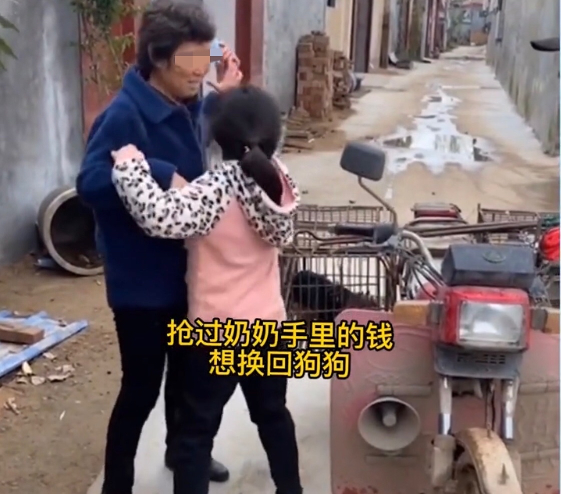 Video cô bé khóc lóc vật vã, ngăn không cho bà ngoại bán chó cưng nuôi 2 năm gây tranh cãi trên MXH - Ảnh 2.
