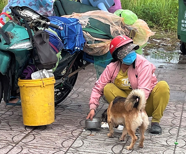 Nữ bác sĩ trong vụ 15 con chó bị tiêu hủy: Mang nhiều bệnh nền, chỉ vài tháng nữa là về hưu nhưng vẫn tham gia chống dịch - Ảnh 1.