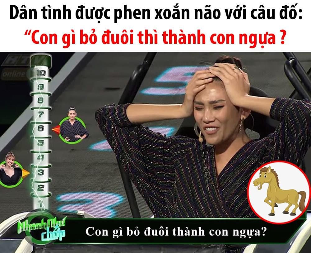 Câu đố đang hot trên MXH khiến dân tình xoắn não: Con gì bỏ đuôi thành con ngựa? - Ảnh 1.