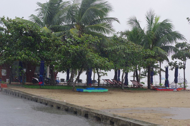 Mưa lớn và nước biển dâng tại TP. Sầm Sơn do ảnh hưởng bão số 8 - Ảnh 12.