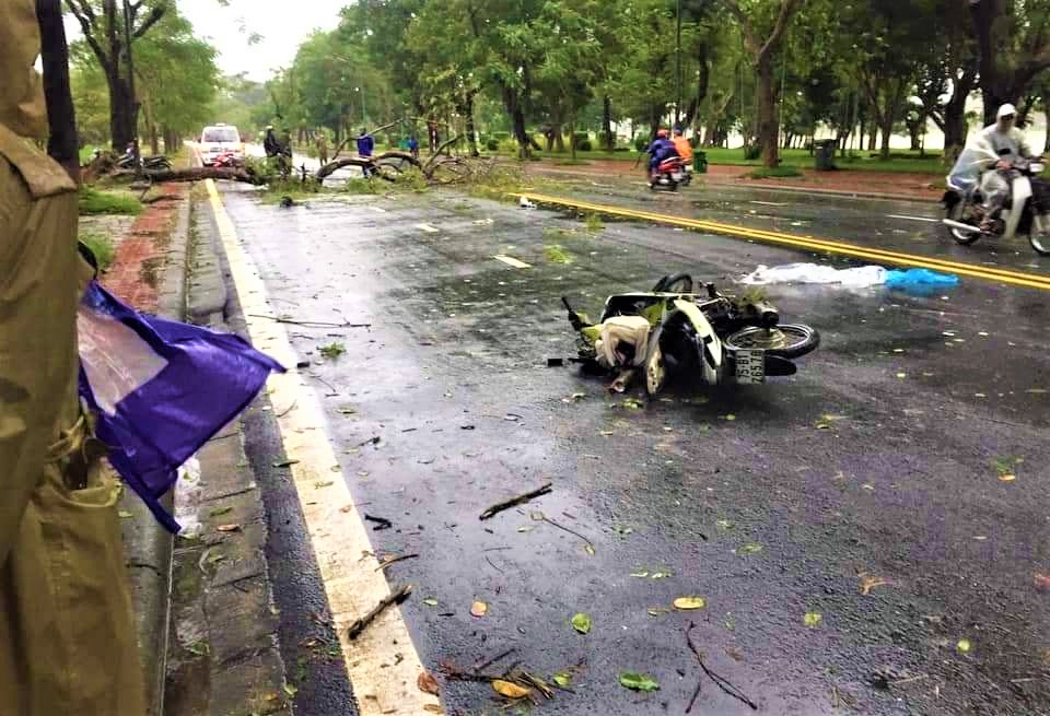 Làm rõ vụ thanh niên tử vong do cây đè trong mưa bão, bị lấy mất 30 triệu đồng - Ảnh 1.