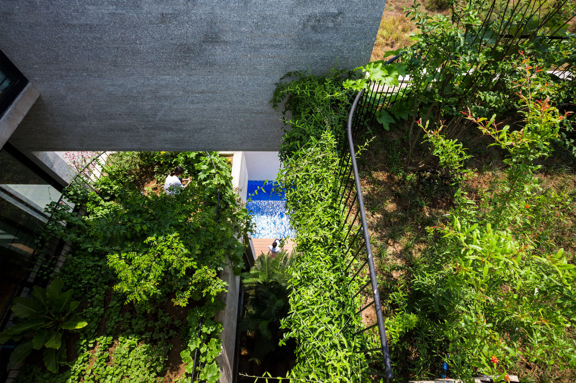 KTS Võ Trọng Nghĩa thiết kế nhà xanh: Không gian mát mẻ hiếm khi phải dùng điều hoà, hệ vườn khiến mọi nhà phố đều ao ước - Ảnh 12.