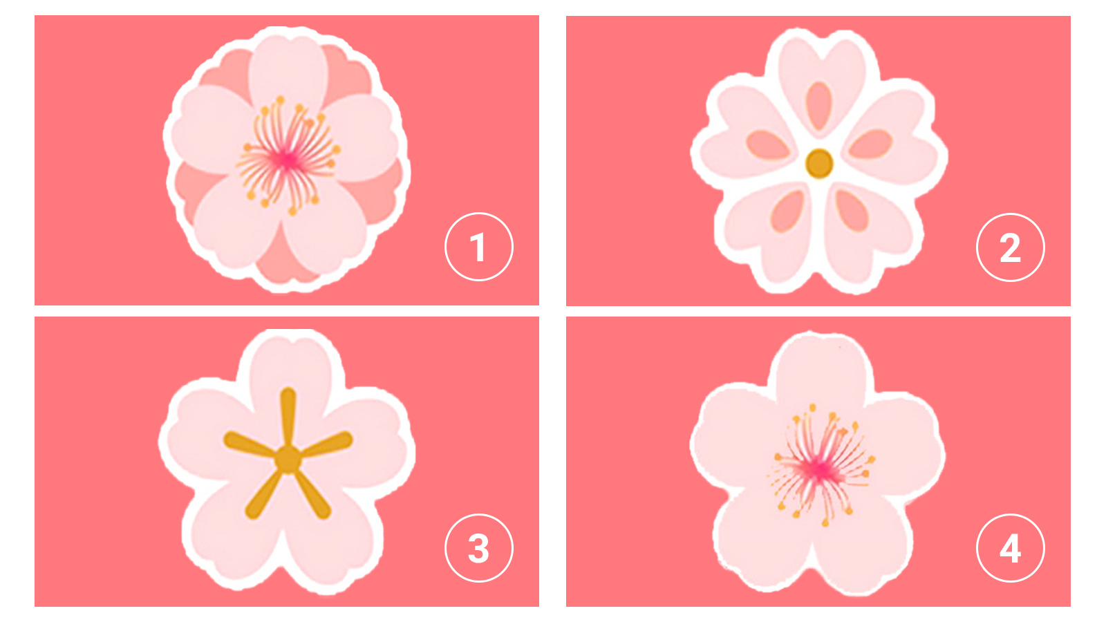 20/10 chọn một bông hoa để biết đâu là vũ khí chinh phục trái tim crush của bạn - Ảnh 1.