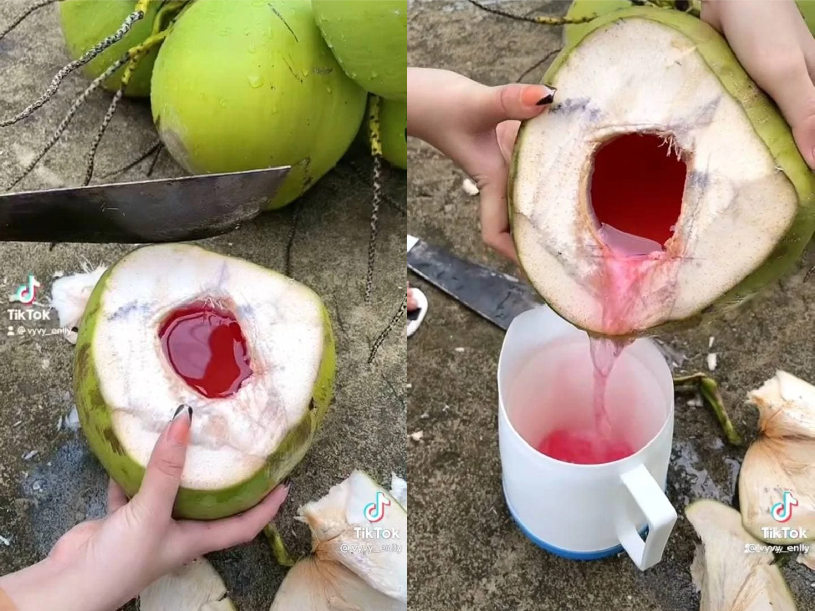 C&ocirc; g&aacute;i khoe nh&agrave; c&oacute; dừa đỏ được gạ 100 triệu cũng kh&ocirc;ng b&aacute;n, d&acirc;n mạng b&oacute;c mẽ: Tưởng m&igrave;nh em ở miền T&acirc;y hả? - Ảnh 2.