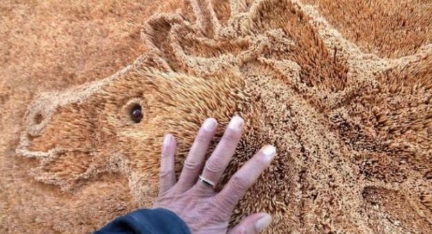 Nghỉ việc lương cao để mua tăm khởi nghiệp, ch&agrave;ng trai khiến ai cũng trầm trồ sau 3 th&aacute;ng - Ảnh 3.