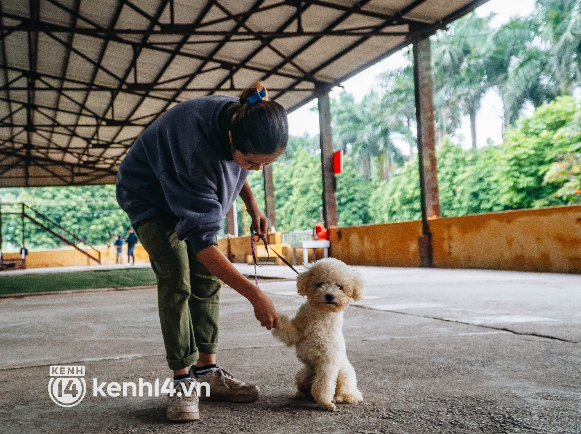 Ngộ nghĩnh học kỳ quân đội của những chú cún ở Hà Nội: Không đủ điểm tốt nghiệp thì phải... học lại - Ảnh 9.