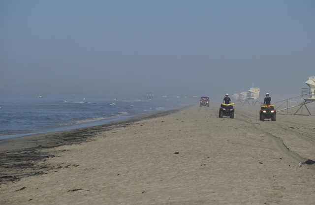 Tràn dầu nghiêm trọng ngoài khơi California, cá và chim chết trôi dạt vào bãi biển Huntington - Ảnh 2.