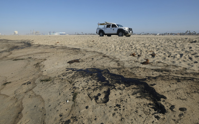 Tràn dầu nghiêm trọng ngoài khơi California, cá và chim chết trôi dạt vào bãi biển Huntington - Ảnh 4.