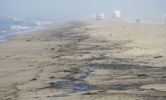 Tràn dầu nghiêm trọng ngoài khơi California, cá và chim chết trôi dạt vào bãi biển Huntington - Ảnh 6.