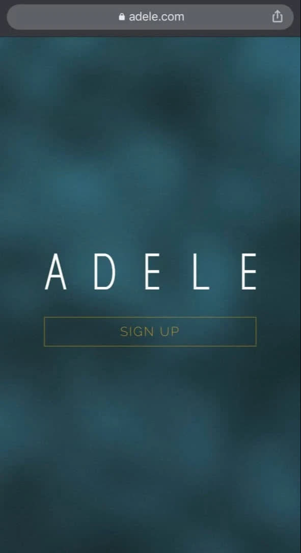 Tất cả dạt ra: Adele vừa có 1 động thái trên MXH khiến cả làng nhạc tới công chuyện thật rồi! - Ảnh 3.